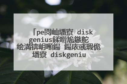 pe閲屾墦寮�diskgenius鍒嗗尯鏃舵�绘満锛岄噸鍚�鍚庡彧瑕佹墦寮�diskgenius灏辨�绘満锛岀敤鐨勬柊鍥烘�佺‖鐩�