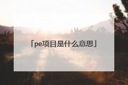 pe项目是什么意思