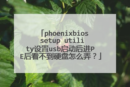 phoenixbios setup utility设置usb启动后进PE后看不到硬盘怎么弄?