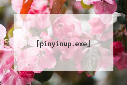 pinyinup.exe