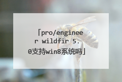 pro/engineer wildfir 5.0支持win8系统吗
