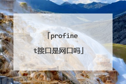 profinet接口是网口吗