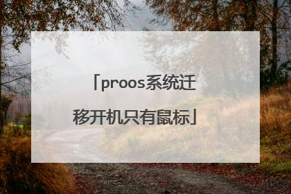 proos系统迁移开机只有鼠标