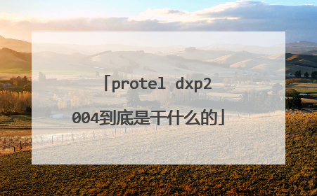 protel dxp2004到底是干什么的
