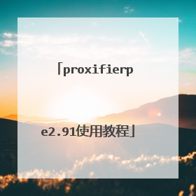 proxifierpe2.91使用教程