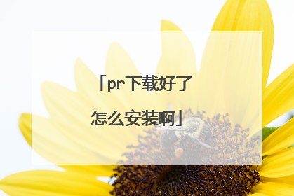 pr下载好了怎么安装啊
