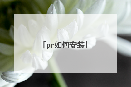 pr如何安装