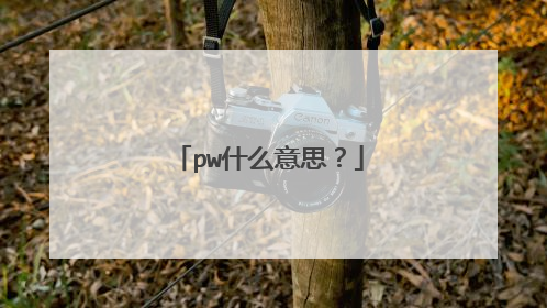 pw什么意思?