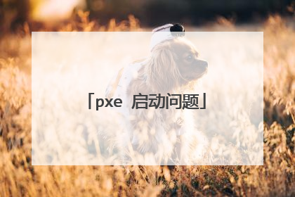 pxe 启动问题