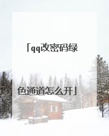 qq改密码绿色通道怎么开
