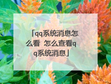 qq系统消息怎么看 怎么查看qq系统消息