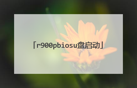 r900pbiosu盘启动