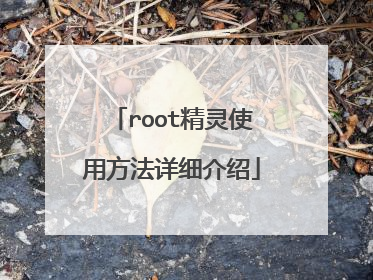 root精灵使用方法详细介绍