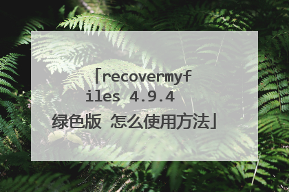 recovermyfiles 4.9.4 绿色版 怎么使用方法
