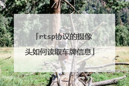 rtsp协议的摄像头如何读取车牌信息
