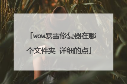 wow暴雪修复器在哪个文件夹 详细的点