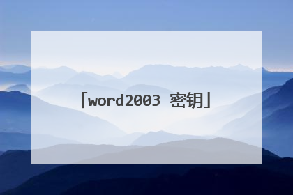 word2003 密钥