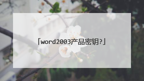 word2003产品密钥?