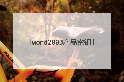 word2003产品密钥