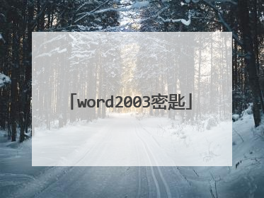word2003密匙