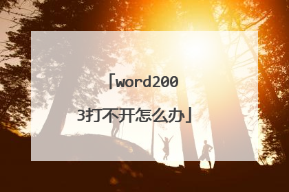 word2003打不开怎么办