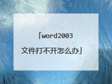 word2003文件打不开怎么办