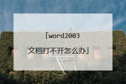 word2003文档打不开怎么办