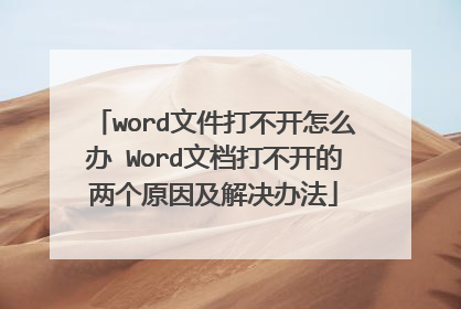 word文件打不开怎么办 Word文档打不开的两个原因及解决办法