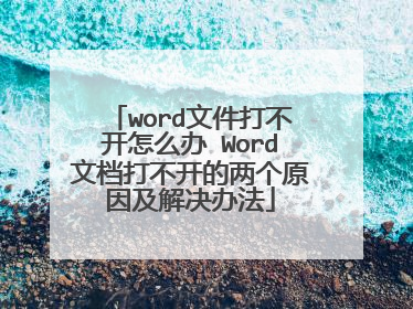 word文件打不开怎么办 Word文档打不开的两个原因及解决办法
