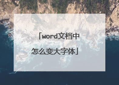 word文档中怎么变大字体
