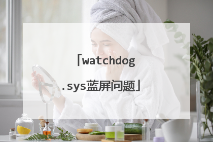 watchdog.sys蓝屏问题