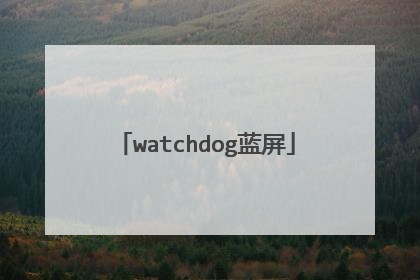 watchdog蓝屏