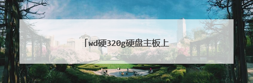 wd硬320g硬盘主板上没有bios芯片怎么更换
