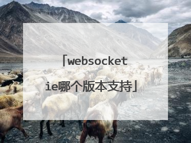 websocket ie哪个版本支持