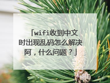 wifi收到中文时出现乱码怎么解决阿,什么问题?