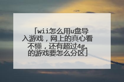 wii怎么用u盘导入游戏,网上的真心看不懂,还有超过4g。的游戏要怎么分区
