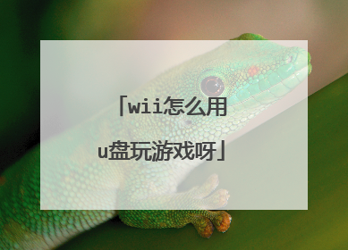 wii怎么用u盘玩游戏呀