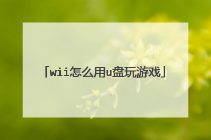 wii怎么用u盘玩游戏