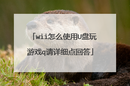 wii怎么使用U盘玩游戏q请详细点回答