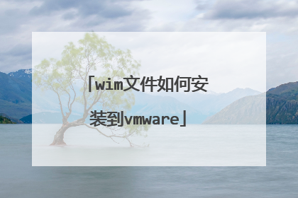wim文件如何安装到vmware