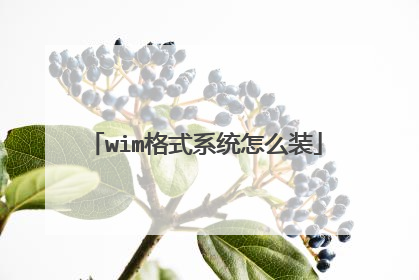 wim格式系统怎么装