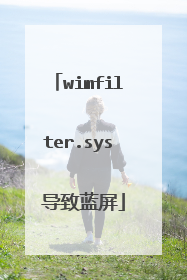 wimfilter.sys 导致蓝屏