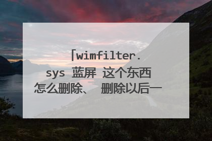 wimfilter.sys 蓝屏 这个东西怎么删除、 删除以后一重启就又有了。 安全模式也删不掉!