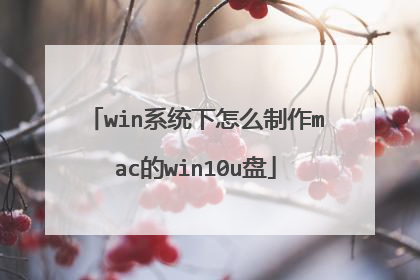 win系统下怎么制作mac的win10u盘
