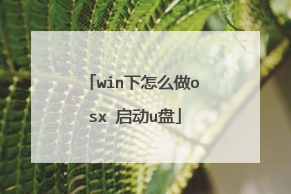 win下怎么做osx 启动u盘