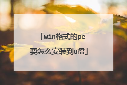 win格式的pe要怎么安装到u盘
