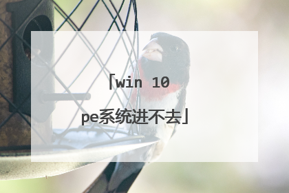 win 10 pe系统进不去