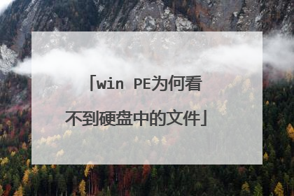 win PE为何看不到硬盘中的文件