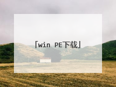 win PE下载