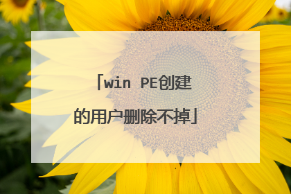 win PE创建的用户删除不掉